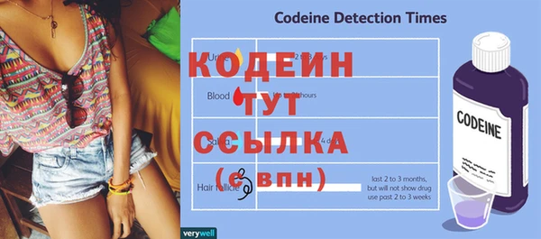 стаф Новозыбков
