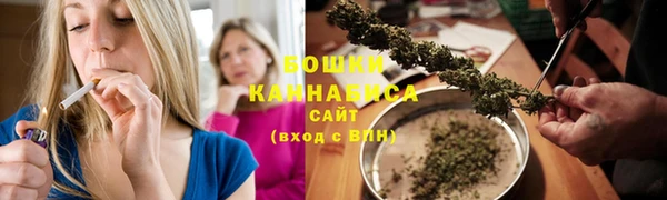 стаф Новозыбков
