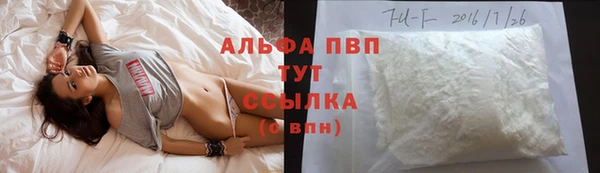 стаф Новозыбков