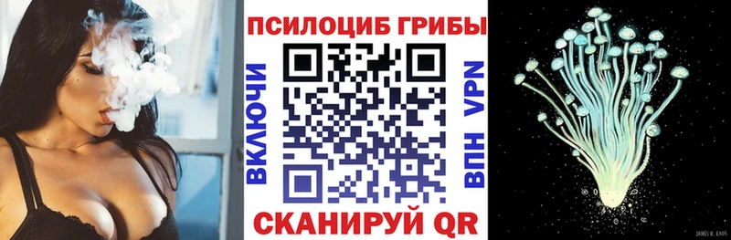 Псилоцибиновые грибы GOLDEN TEACHER Щигры