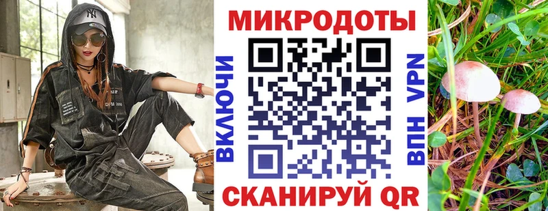 Купить где  Щигры  Псилоцибиновые грибы Cubensis 